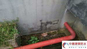 地震後會造成頂樓漏水！？你不得不重視的【隱藏危機】《中嘉建築防水》