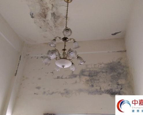 我的壁癌跟屋頂漏水有關？房屋漏水要【抓漏？測漏？止漏？】《中嘉建築防水》