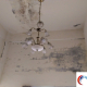 我的壁癌跟屋頂漏水有關？房屋漏水要【抓漏？測漏？止漏？】《中嘉建築防水》