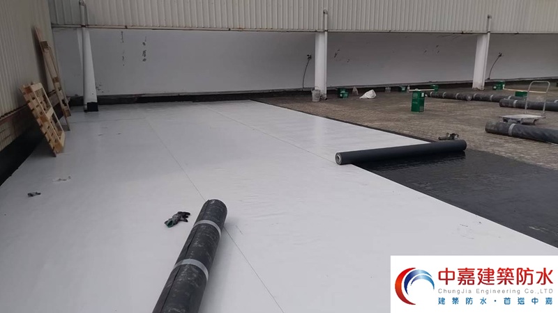 連續強降雨又漏水了？選對高品質防水材料【讓房屋長壽的秘密】《中嘉建築防水》