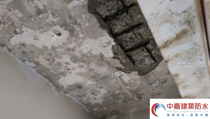 頂樓漏水會造成那些損害呢？別讓小問題變成【大災難！】《中嘉建築防水》