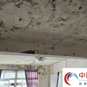 中古屋屋頂漏水該怎麼翻修？專家說：要做【頂樓防水微改造】《中嘉建築防水》