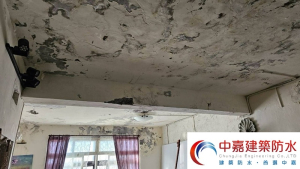 中古屋屋頂漏水該怎麼翻修？專家說：要做【頂樓防水微改造】《中嘉建築防水》