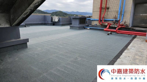 地震後，老宅下雨頂樓竟然「滴水不斷」【探訪老屋頂的中年危機】《中嘉建築防水》