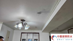 大樓屋頂漏雨，麻煩到讓人懷疑人生【不讓頂樓成為迷你泳池】《中嘉建築防水》