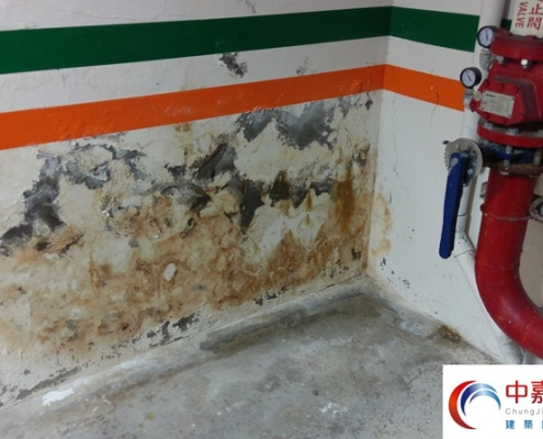 大樓地下室漏水？哪種防水止漏材料及方法最好【重點全揭露】《中嘉建築防水》